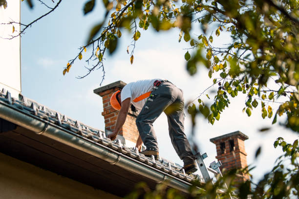 Best Flat Roof Repair Services  in Douglas, AL