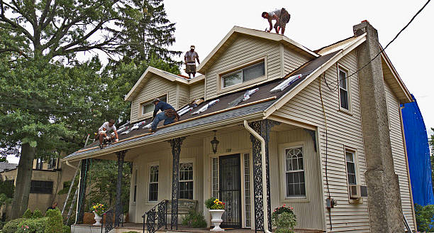Best Local Roofing Companies  in Douglas, AL